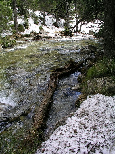 img00001.jpg