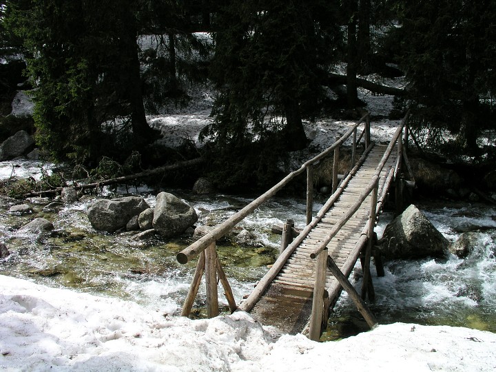img00002.jpg