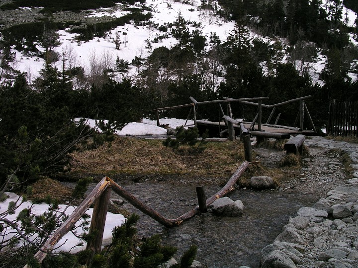 img00004.jpg