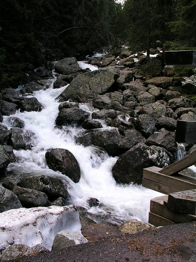 img00005.jpg