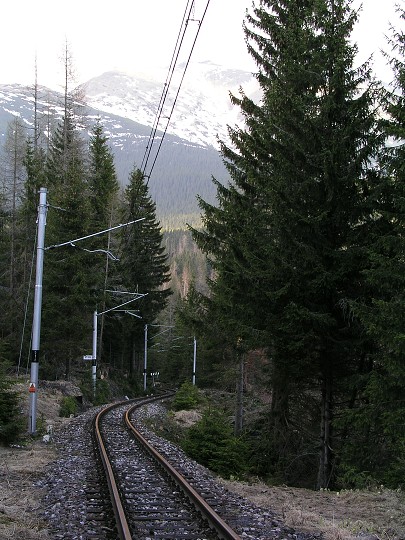 img00006.jpg