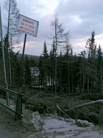 img00008.jpg