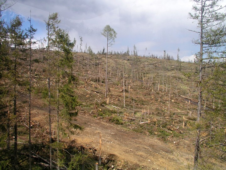 img00009.jpg