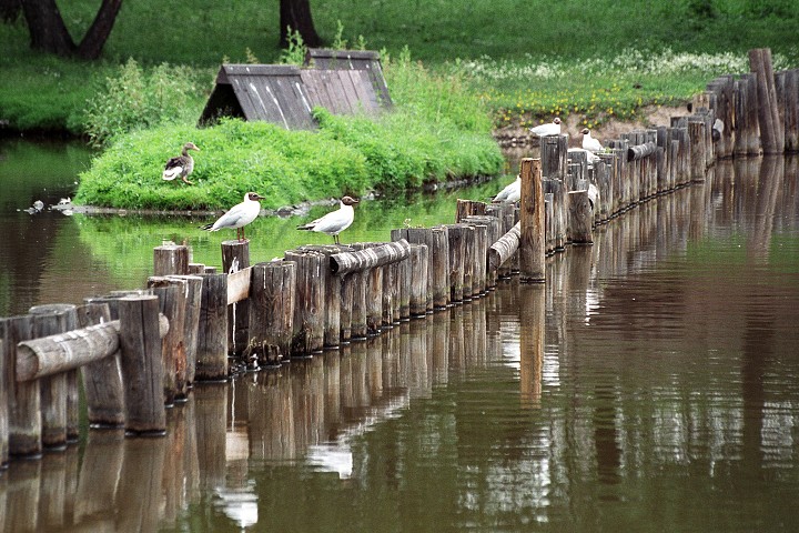 img00010.jpg