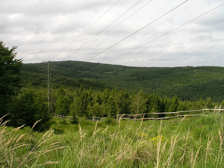 img00012.jpg