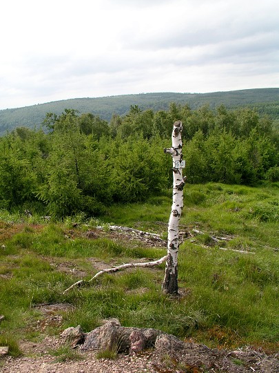 img00014.jpg