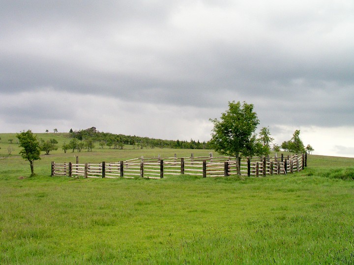 img00016.jpg