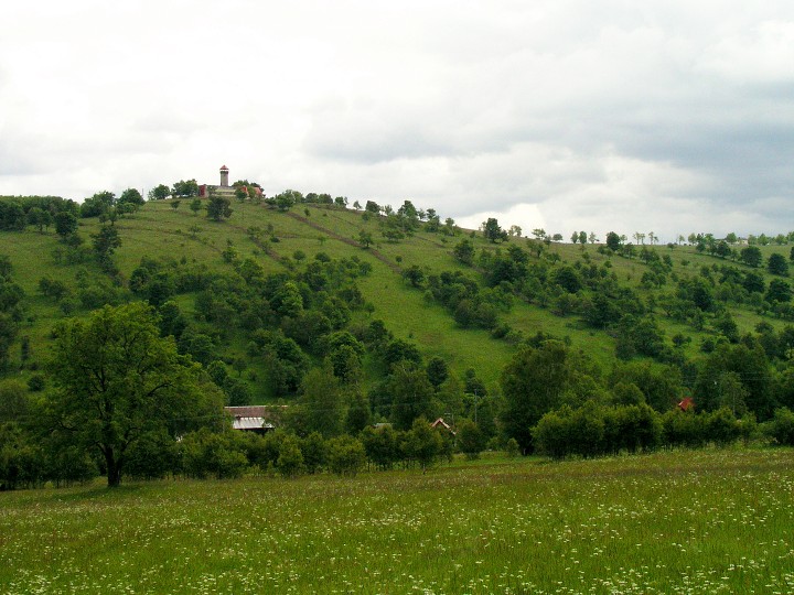 img00017.jpg