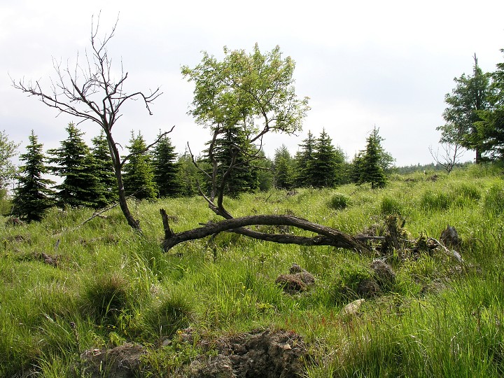 img00020.jpg