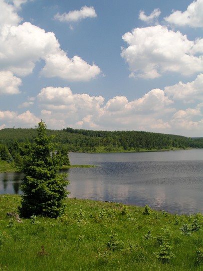 img00024.jpg
