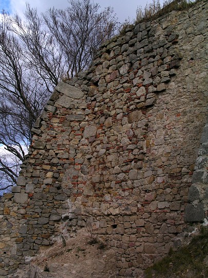 img00005.jpg