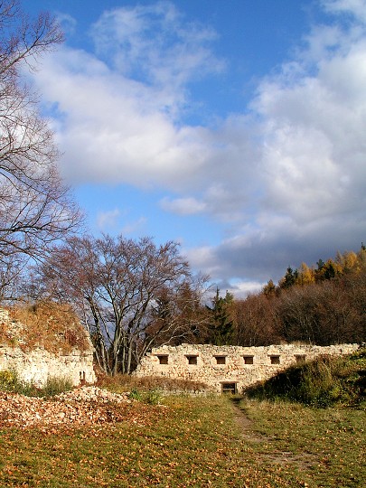img00008.jpg