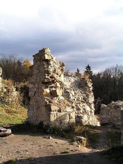img00010.jpg