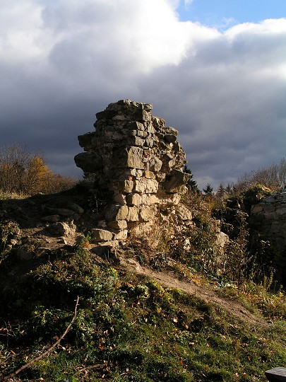img00011.jpg