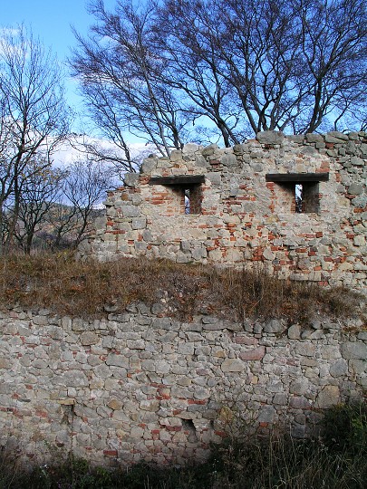img00012.jpg
