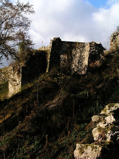 img00019.jpg