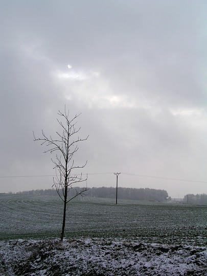 img00021.jpg