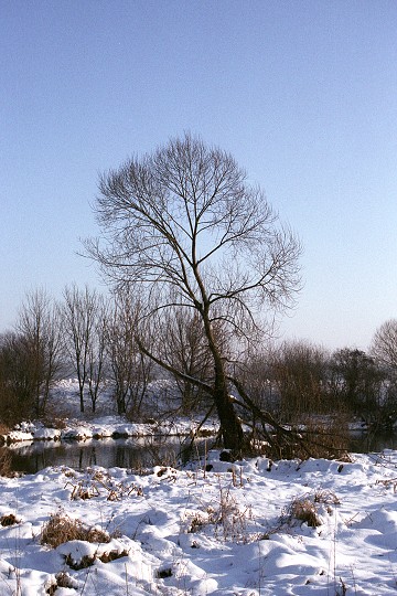 img00002.jpg