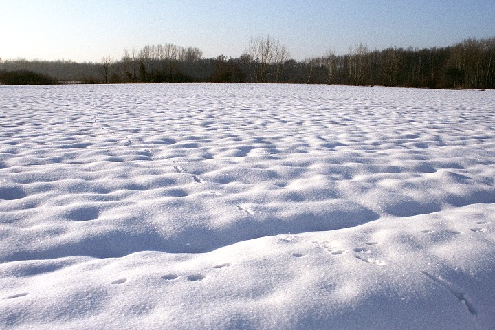 img00004.jpg