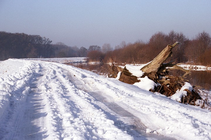 img00005.jpg