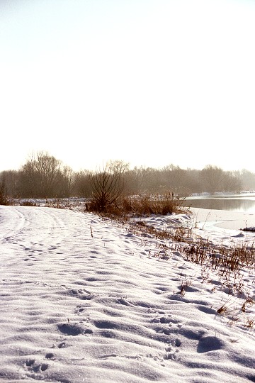 img00006.jpg