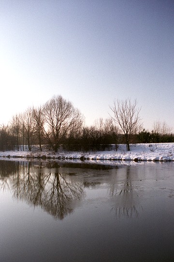 img00007.jpg