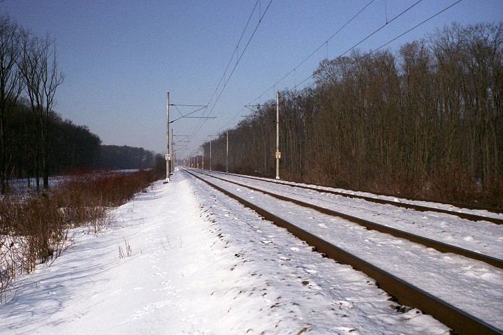 img00008.jpg