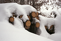 14.1.2006 Chřiby - zima