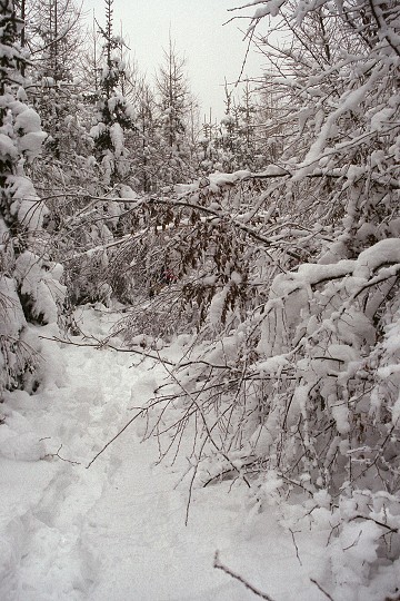 img00002.jpg