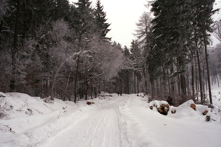 img00003.jpg
