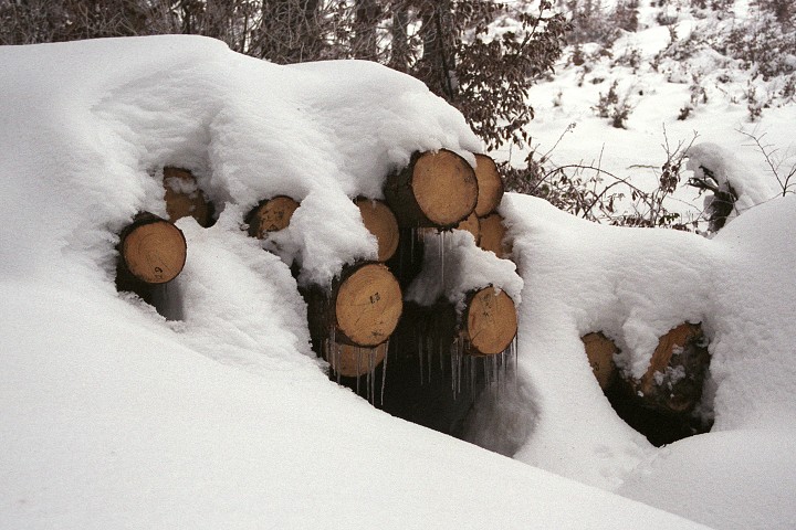 img00004.jpg