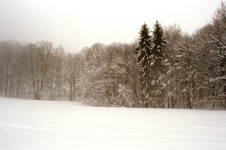 img00006.jpg