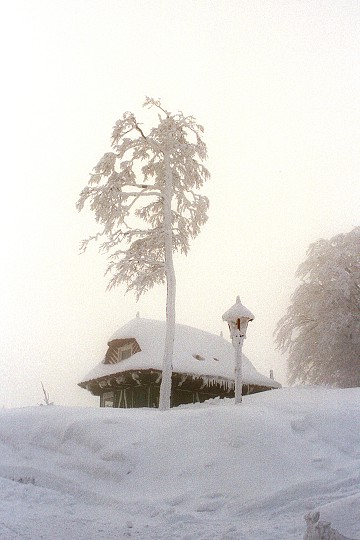 img00001.jpg
