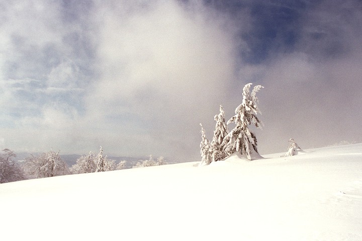 img00002.jpg