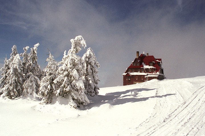 img00003.jpg
