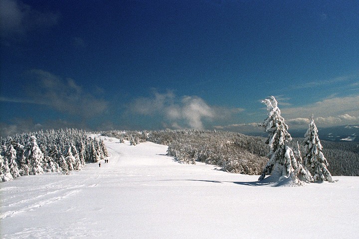 img00011.jpg