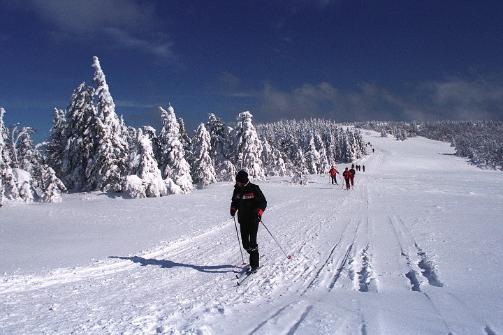 img00013.jpg
