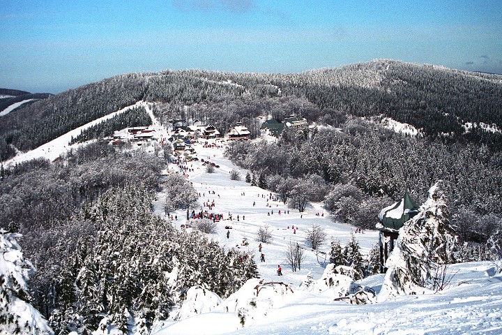 img00015.jpg