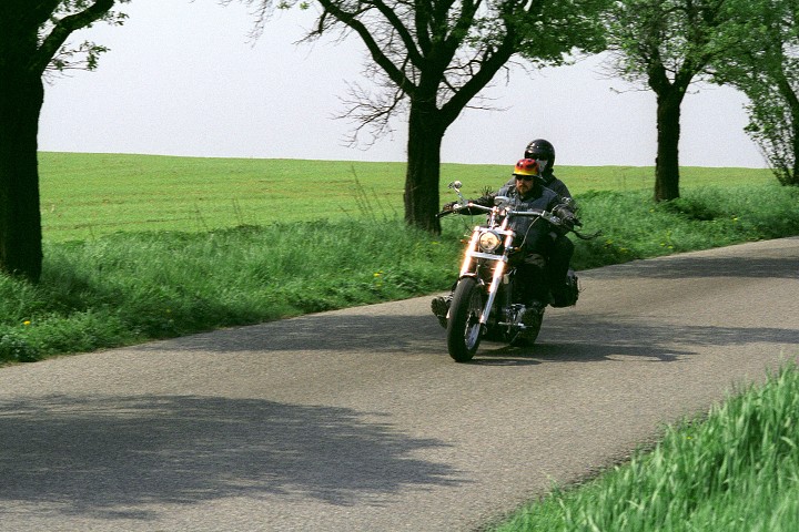 img00012.jpg