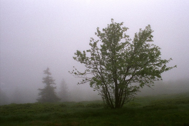 img00006.jpg