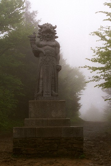img00007.jpg