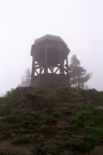 img00010.jpg