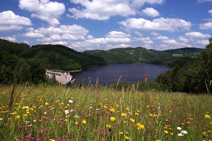img00002.jpg