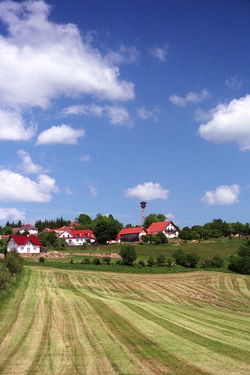 img00004.jpg