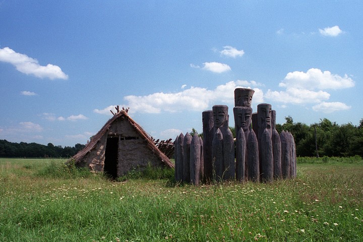 img00003.jpg