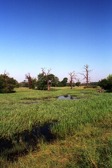 img00013.jpg