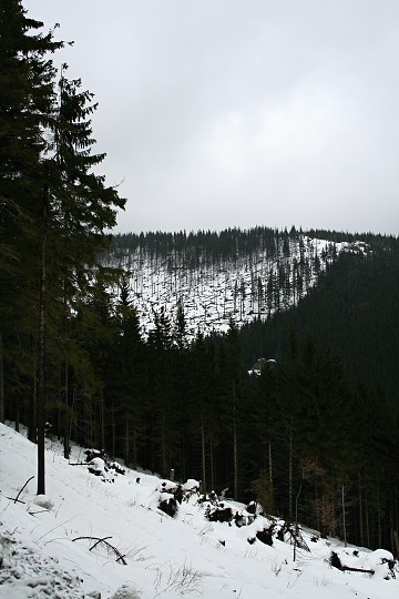 img00002.jpg
