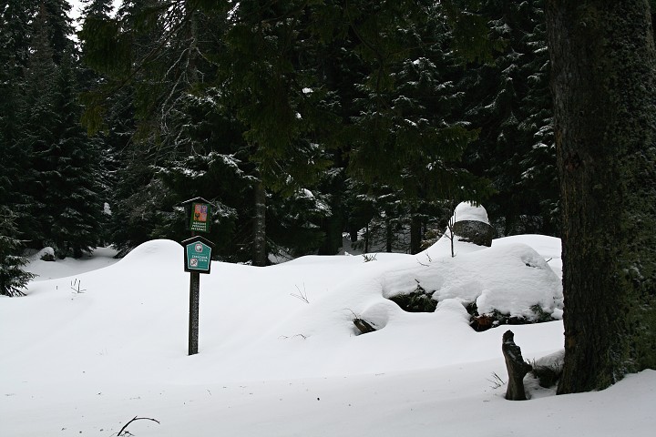 img00003.jpg