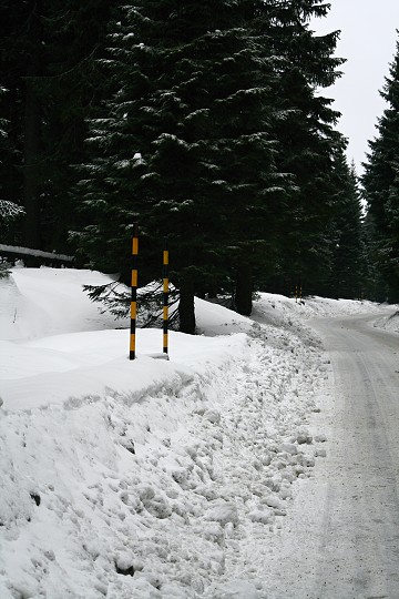 img00004.jpg