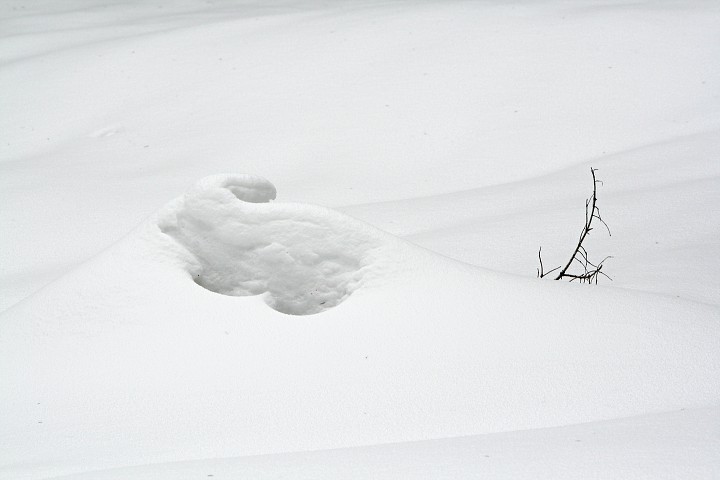 img00005.jpg